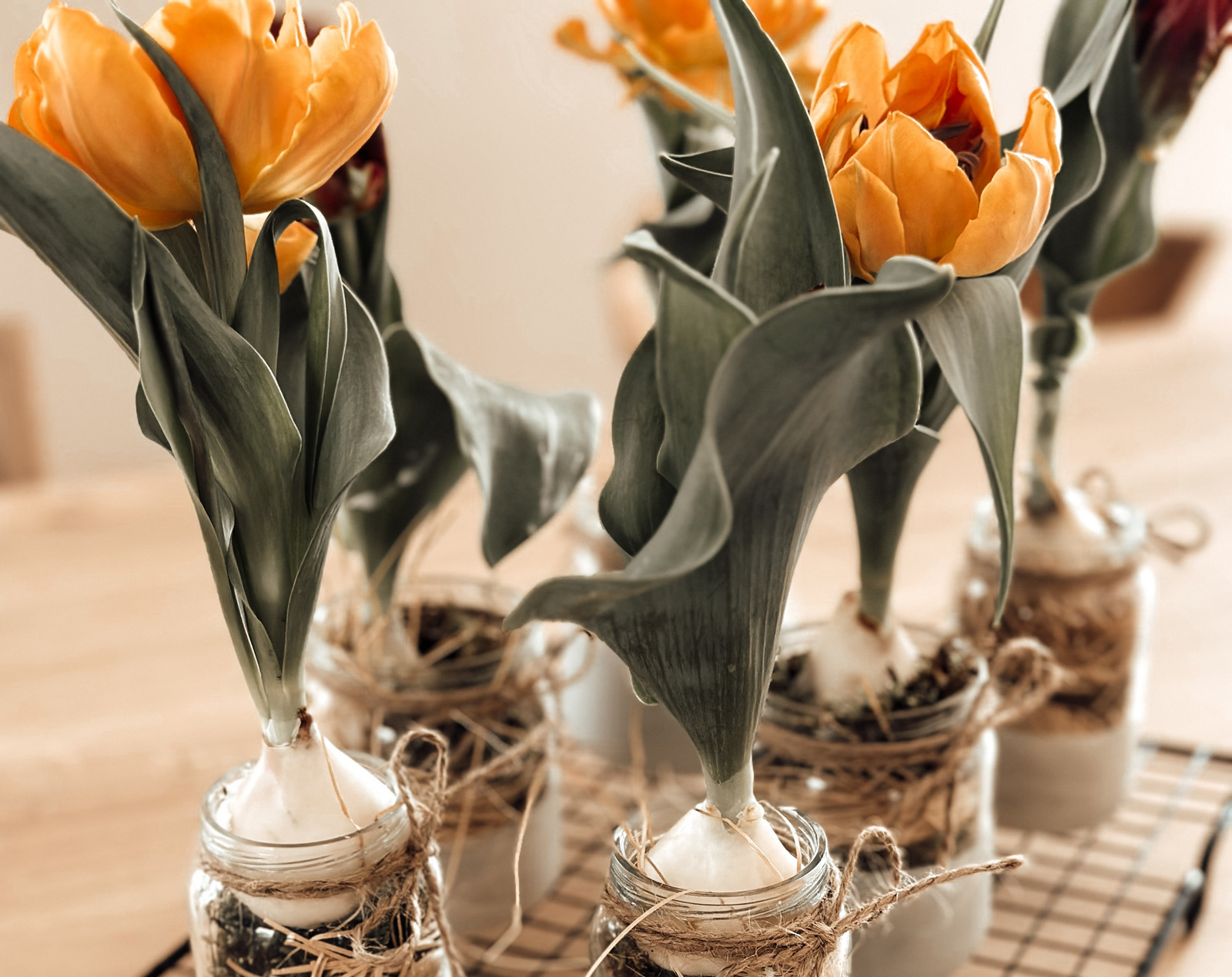 Tulpen mit orangefarbenen Blüten und grünen Blättern, in dekorativen Gläsern auf einem Tisch angeordnet.