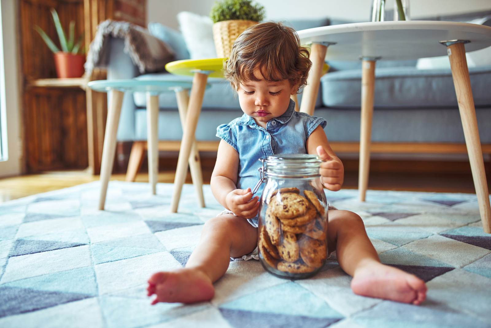 Kleines Kind mit lockigen Haaren sitzt auf einem Teppich und greift in ein Glas mit Keksen. Im Hintergrund ist ein modernes Wohnzimmer sichtbar.