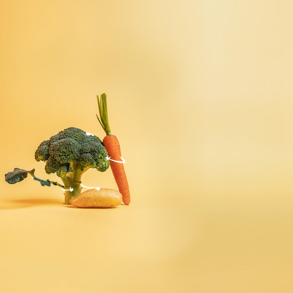 TYPO3\CMS\Extbase\Domain\Model\FileReference:10376