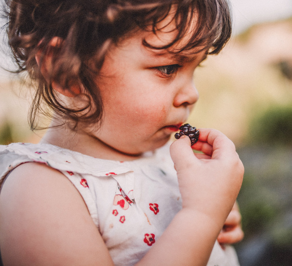 Kleines Kind mit Locken, das eine reife Brombeere betrachtet und sie neugierig kostet.