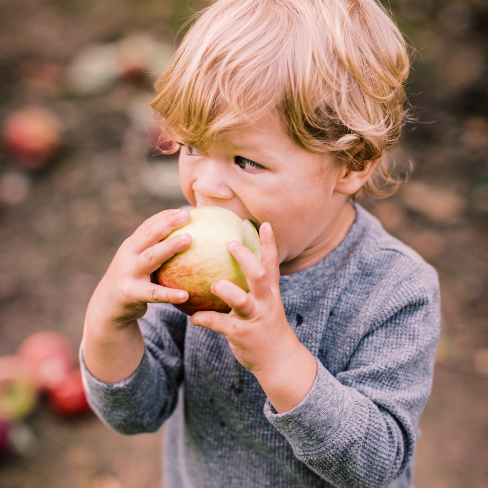 TYPO3\CMS\Extbase\Domain\Model\FileReference:6313