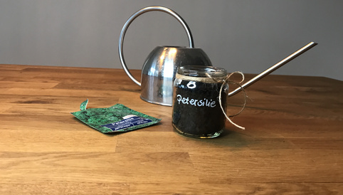 Gläserner Behälter mit Erde für Petersilie, daneben eine grüne Saatgutpackung und eine silberne Gießkanne auf Holzuntergrund.