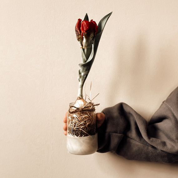 Eine Person hält ein Glasgefäß mit Erde und Gras, das eine rote Blume mit grünen Blättern zeigt, vor einem hellen Hintergrund.