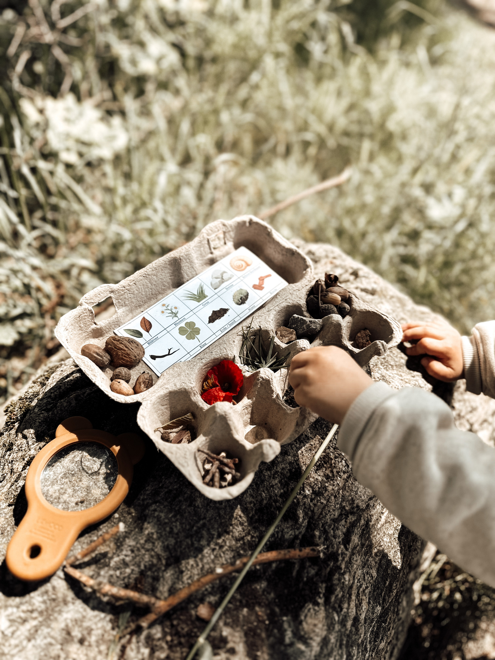 Kleinkind untersucht eine Sammlung von Naturmaterialien in einem Eierkarton, umgeben von grünem Gras und einem Vergrößerungsglas.