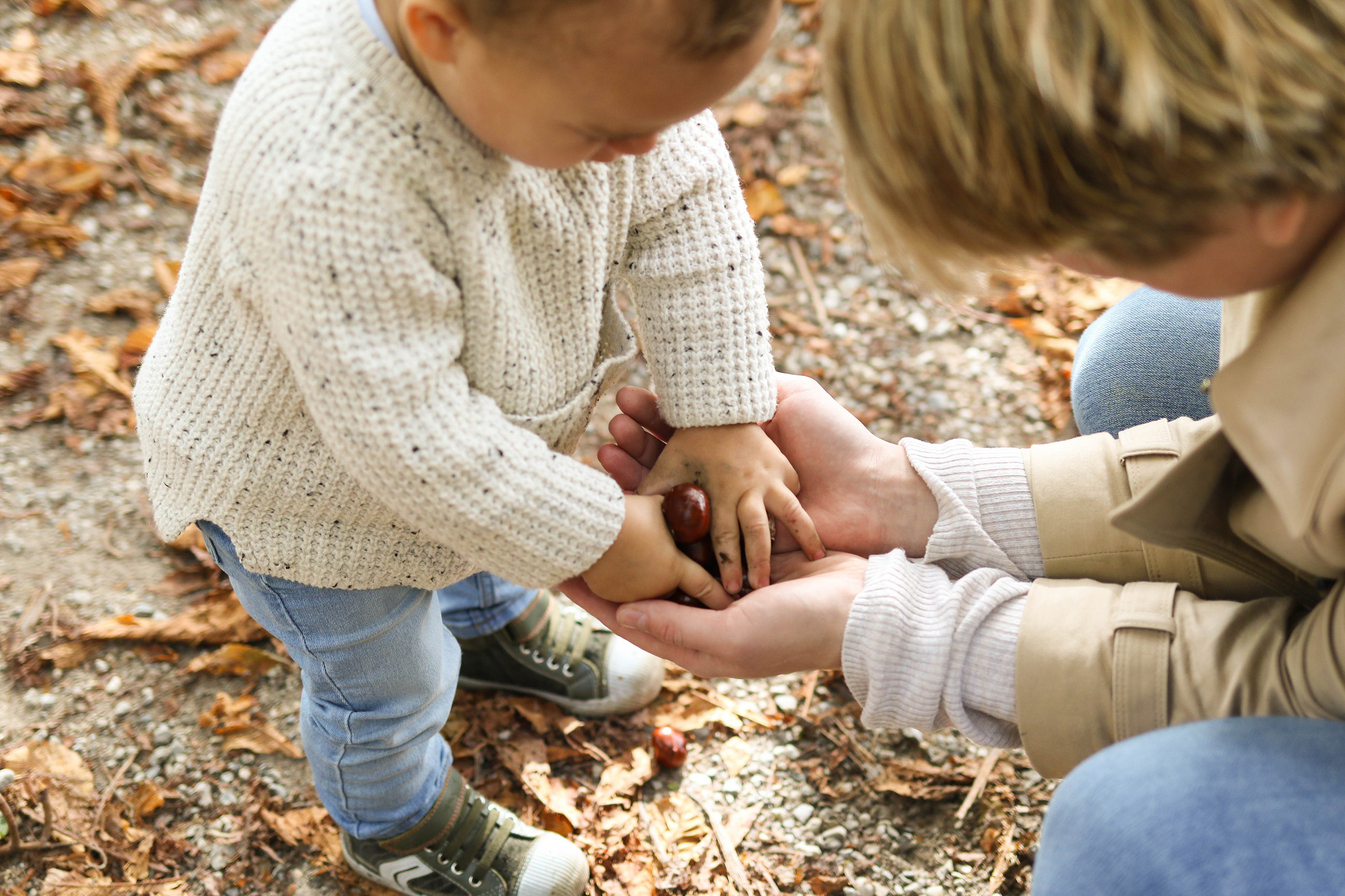 Ein kleines Kind hält eine Kastanie in der Hand, während eine erwachsene Person die Hände des Kindes stützt. Herbstblätter liegen am Boden.